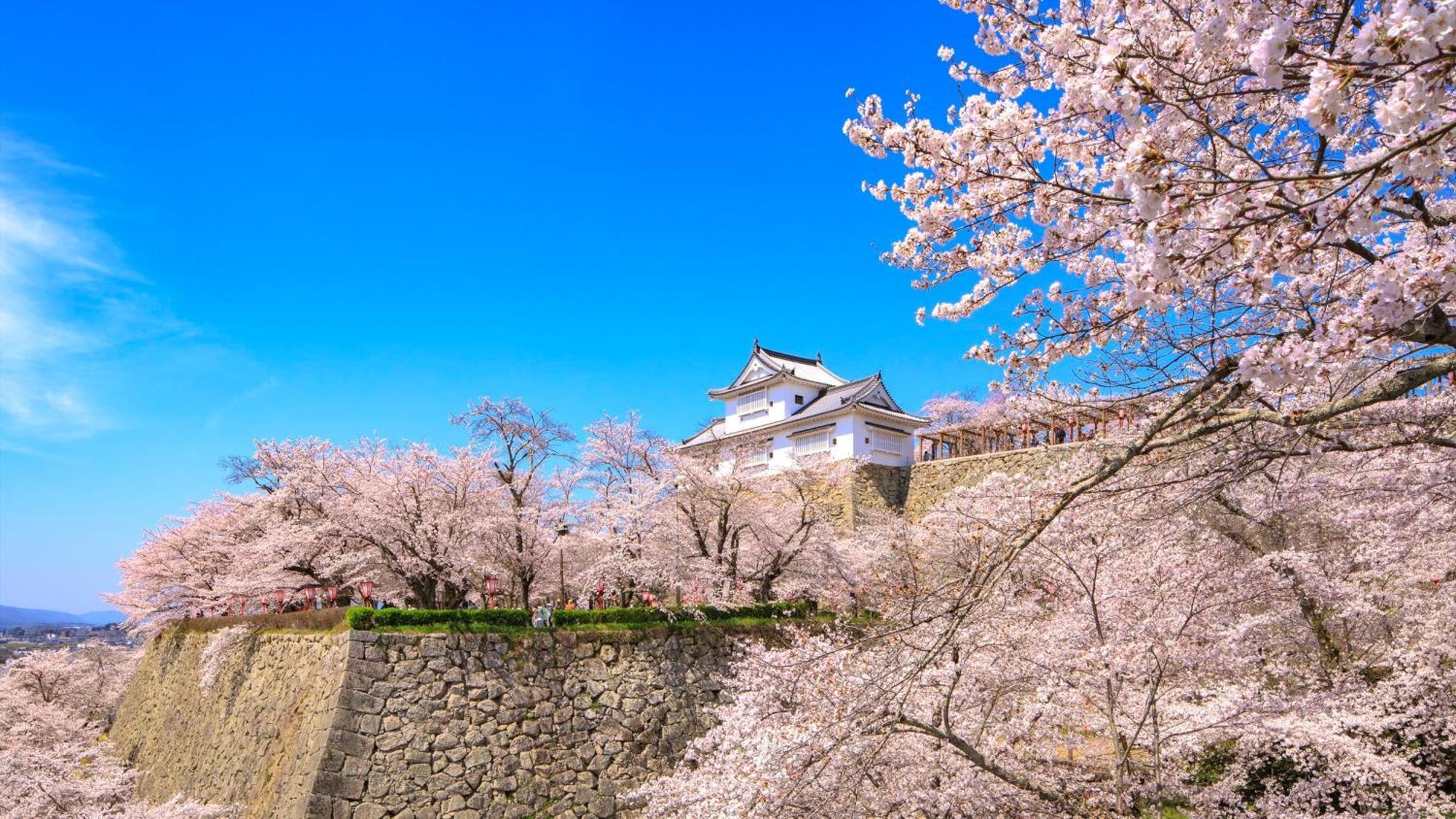 Ana Crowne Plaza Okayama By Ihg Exterior foto